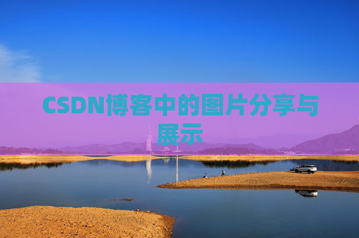 CSDN博客中的图片分享与展示